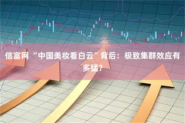 信富网 “中国美妆看白云”背后：极致集群效应有多猛？